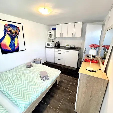 Apartament Luca Novi Vinodolski