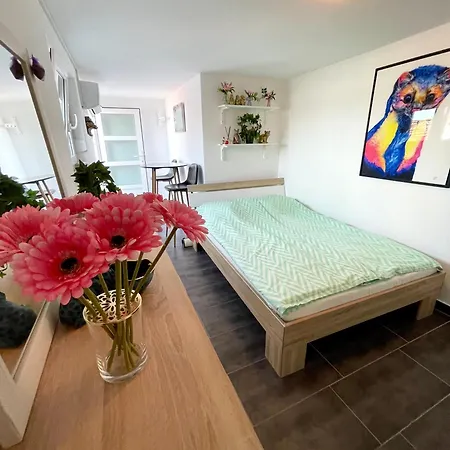 Apartament Luca *